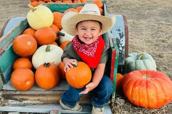 post.PumpkinPatch