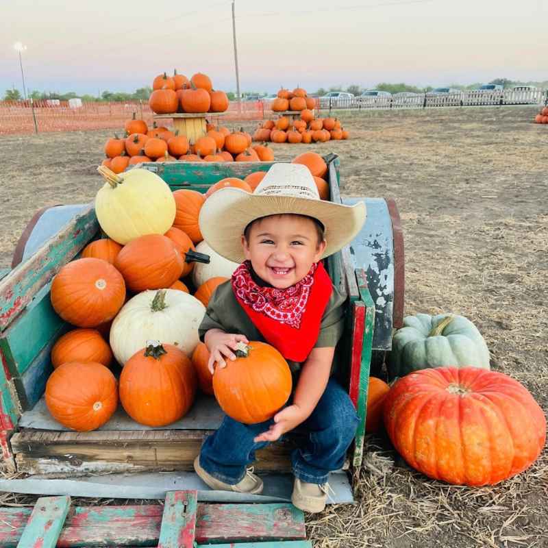 Cowboy in the pumpkin patch at South Texas Maize.